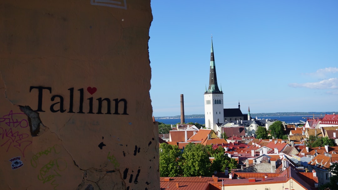 Фото: Marek Lumi / Unsplash Панорама Таллинна — иллюстрация к голосованию за районные проекты